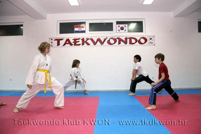 taekwondo kwon training